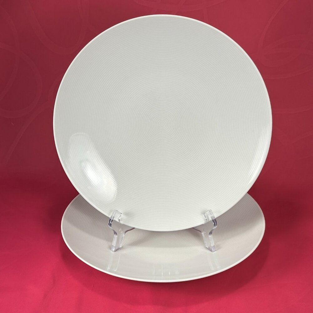 Set of 2 Thomas Rosenthal Germany dinner plates